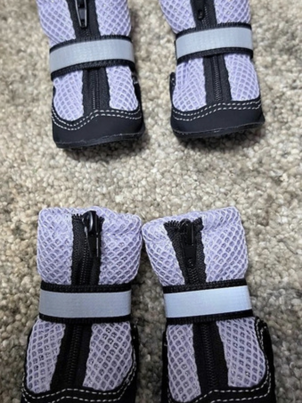 Dog Boots in Black & Purple SIZE SMALL /2